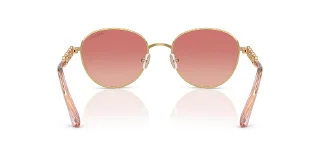 Swarovski Sunglasses SK7049