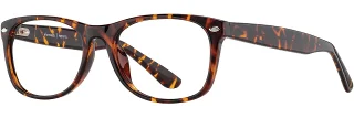 C03 Tortoise