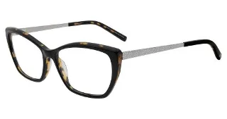 Black Tortoise