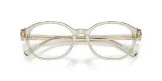 Swarovski Eyeglasses SK2077D
