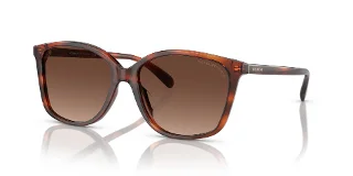5741T5 Caramel Tortoise