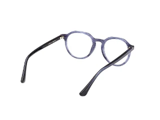 Web Eyeglasses WE5427