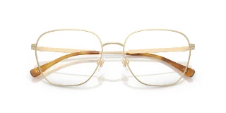 Polo Eyeglasses PH1237