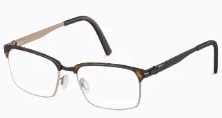 50/46 Black/Bronze W/ Tortoise