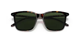 Ralph Lauren Sunglasses RL8199