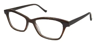 TOR Tortoise
