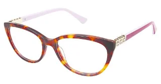 C01 Tortoise