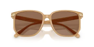 Coach Sunglasses HC8413BD
