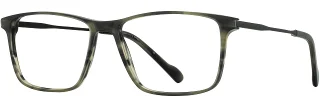 C02 Gray Horn/Black