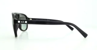 Armani Exchange Sunglasses AX4011