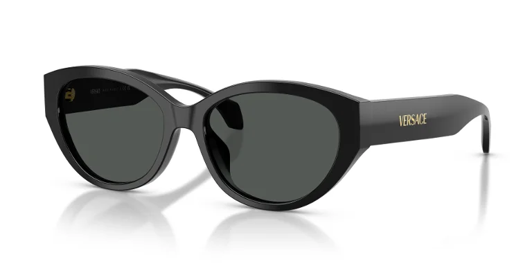 Versace Sunglasses VE4495D