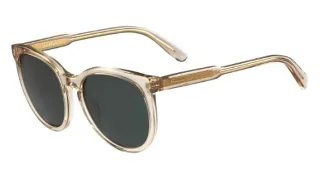 Salvatore Ferragamo Sunglasses SF816S