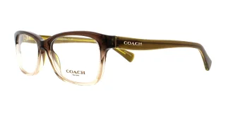 5400 Olive Brown Gradient/Olive