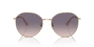 Jimmy Choo Sunglasses JC4007BD