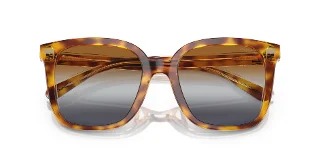 Coach Sunglasses HC8381U