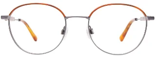 Clip & Twist Eyeglasses CT284