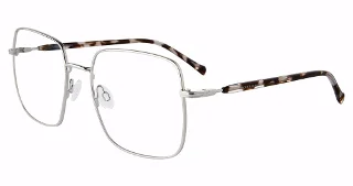 Silver (583C)