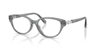 1062 Transparent Dark Grey
