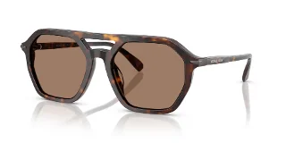 300673 Dark Tortoise
