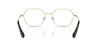 Swarovski Eyeglasses SK1011