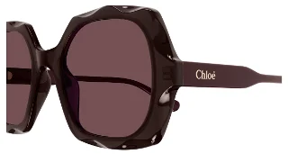 Chloe Sunglasses CH0226S
