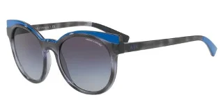 Armani Exchange Sunglasses AX4064SF