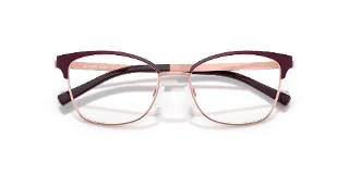 Michael Kors Eyeglasses MK3012