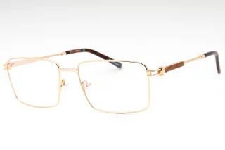C01 Shiny Gold/Tortoise / Clear Lens