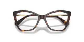 Swarovski Eyeglasses SK2051