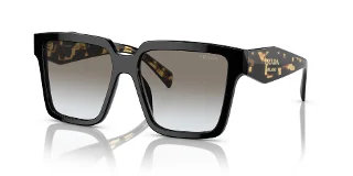 1AB0A7 Black