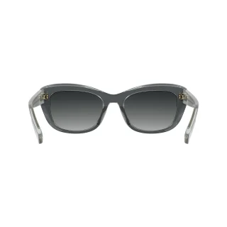 Longchamp Sunglasses LO817S