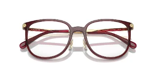 Coach Eyeglasses HC6241D