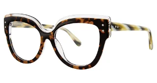 024 Tortoise