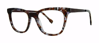 brown tortoise/brown