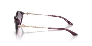 Armani Exchange Sunglasses AX4152SU