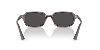 Ray Ban Sunglasses RB4455F