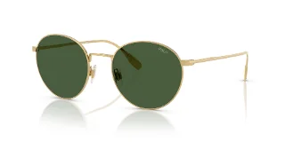 941171 Shiny Gold
