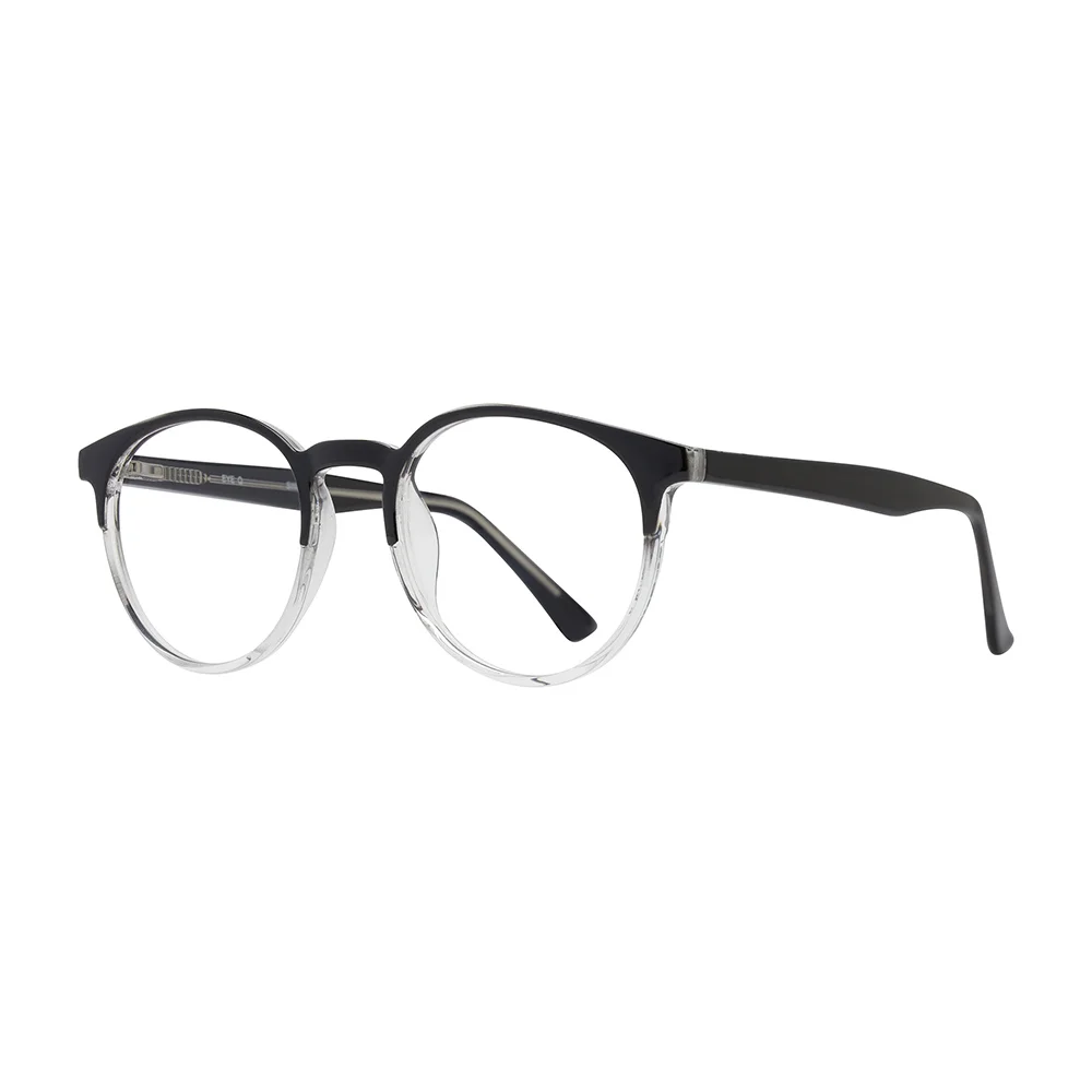 Stylewise Eyeglasses SW348