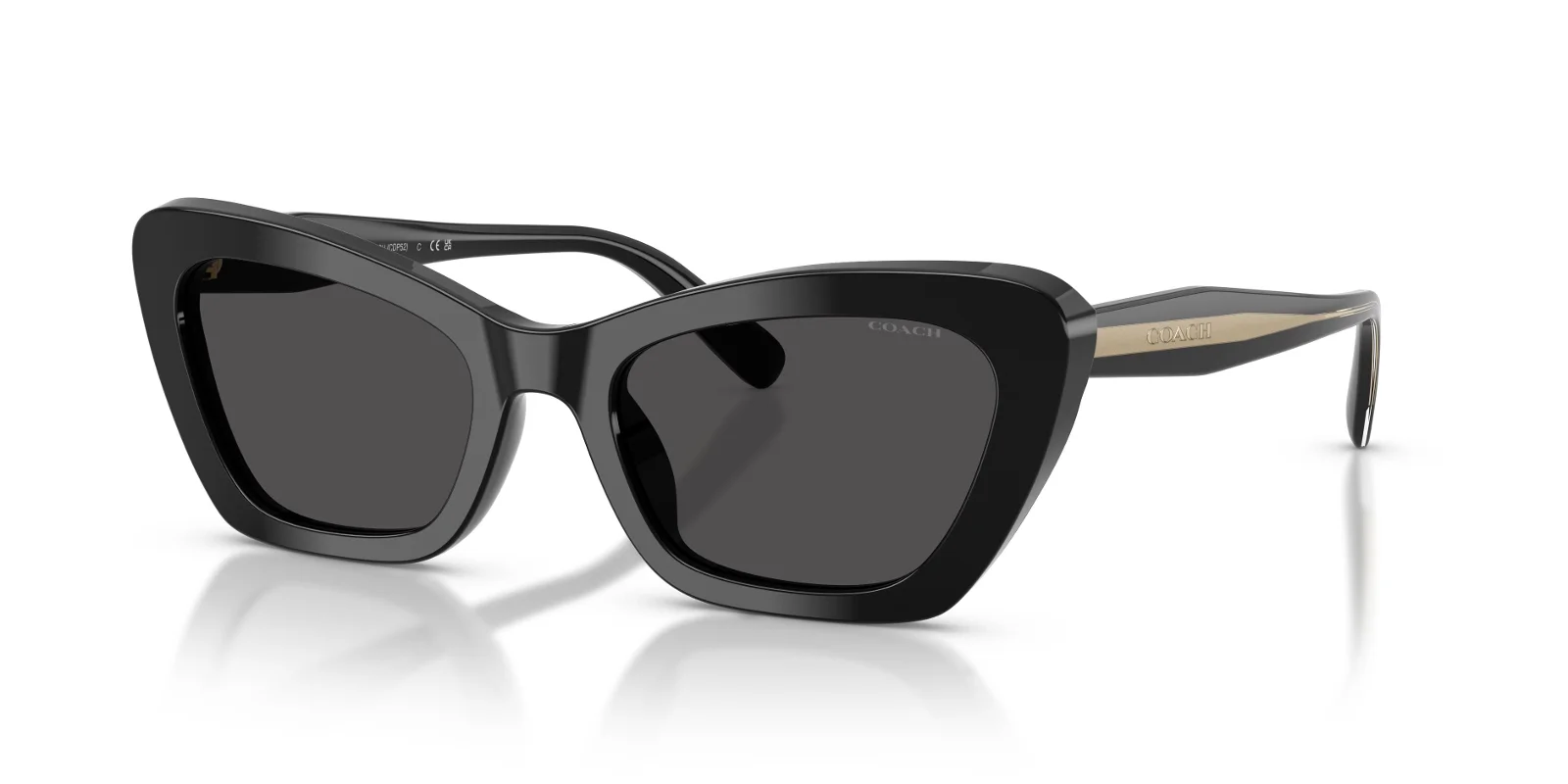 Coach Sunglasses HC8452U