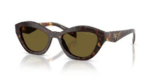 17N09Z Root Tortoise