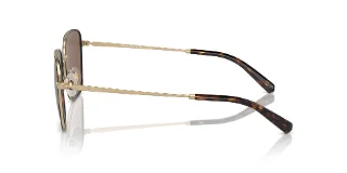 Brooks Brothers Sunglasses BB4068J