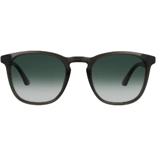 Forest Green Tortoise