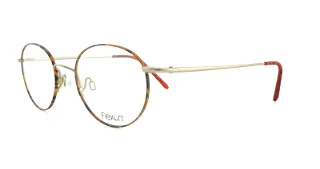 243 Tortoise Natural