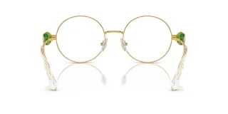 Swarovski Eyeglasses SK1001