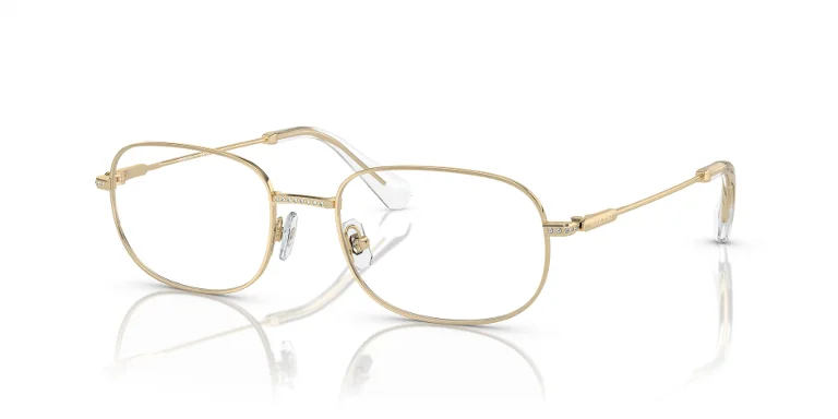 Swarovski Eyeglasses SK1005