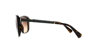 Cole Haan Sunglasses CH7005
