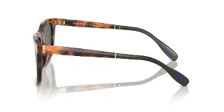 Polo Sunglasses PH4205U