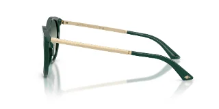 Jimmy Choo Sunglasses JC5060