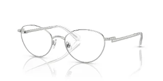 Swarovski Eyeglasses SK1002