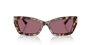 Jimmy Choo Sunglasses JC5011U